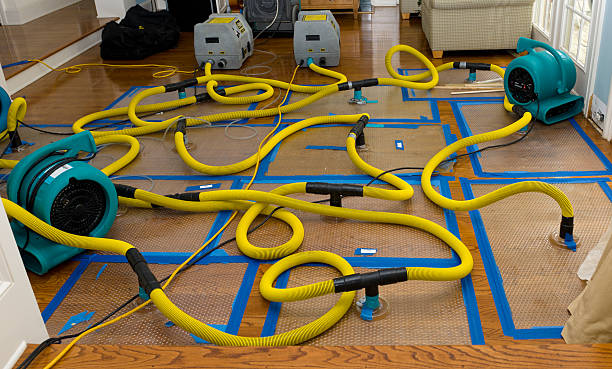 Professional Water Damage Restoration technician working in Lake Orion, MI